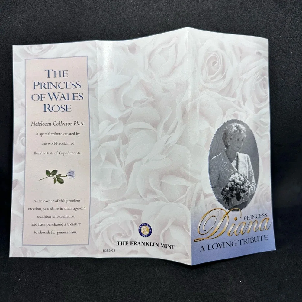The Princess‎ Diane of Wales Rose Collectors Porcelain Plate Platinum bordered